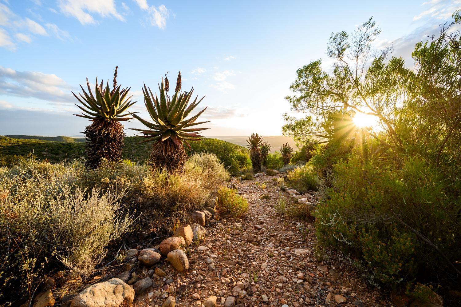 Le Petit Karoo Ranch Bed & Breakfast Oudtshoorn Ngoại thất bức ảnh