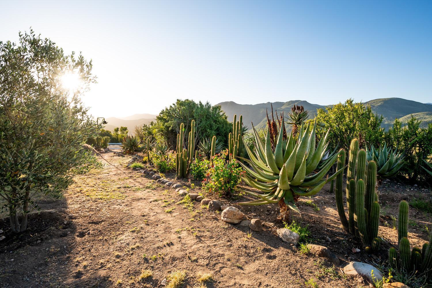 Le Petit Karoo Ranch Bed & Breakfast Oudtshoorn Ngoại thất bức ảnh