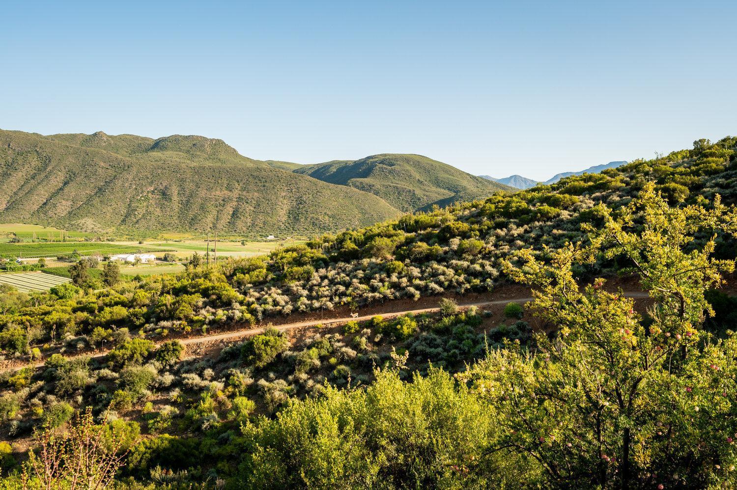 Le Petit Karoo Ranch Bed & Breakfast Oudtshoorn Ngoại thất bức ảnh
