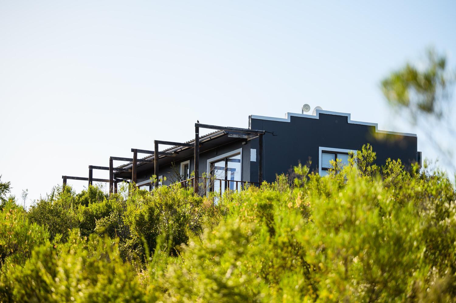 Le Petit Karoo Ranch Bed & Breakfast Oudtshoorn Ngoại thất bức ảnh