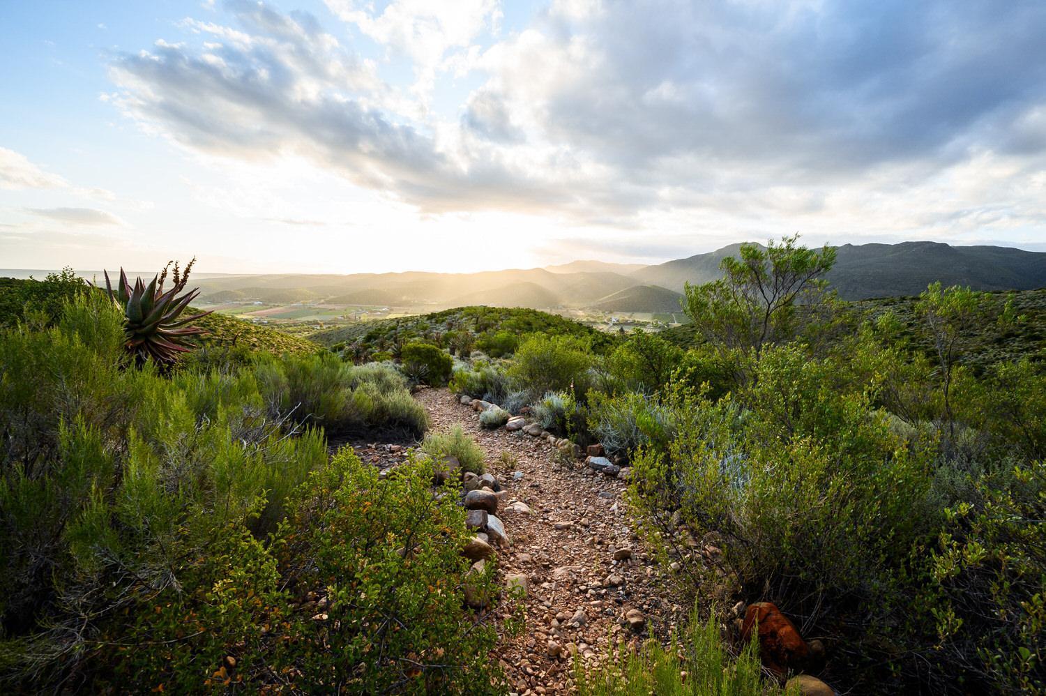 Le Petit Karoo Ranch Bed & Breakfast Oudtshoorn Ngoại thất bức ảnh