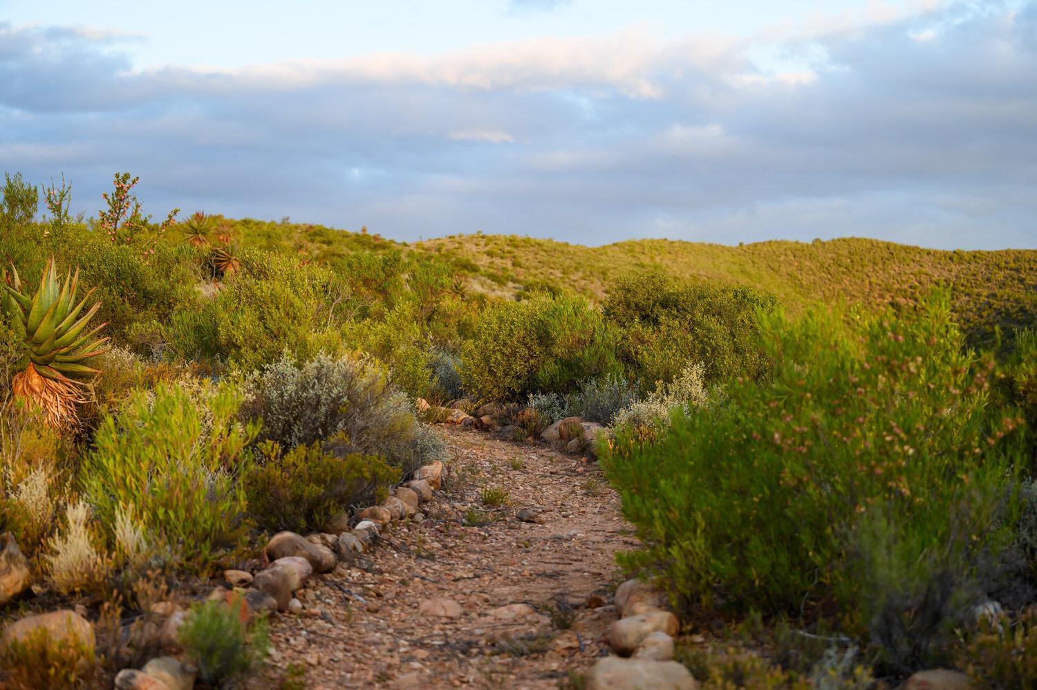 Le Petit Karoo Ranch Bed & Breakfast Oudtshoorn Ngoại thất bức ảnh
