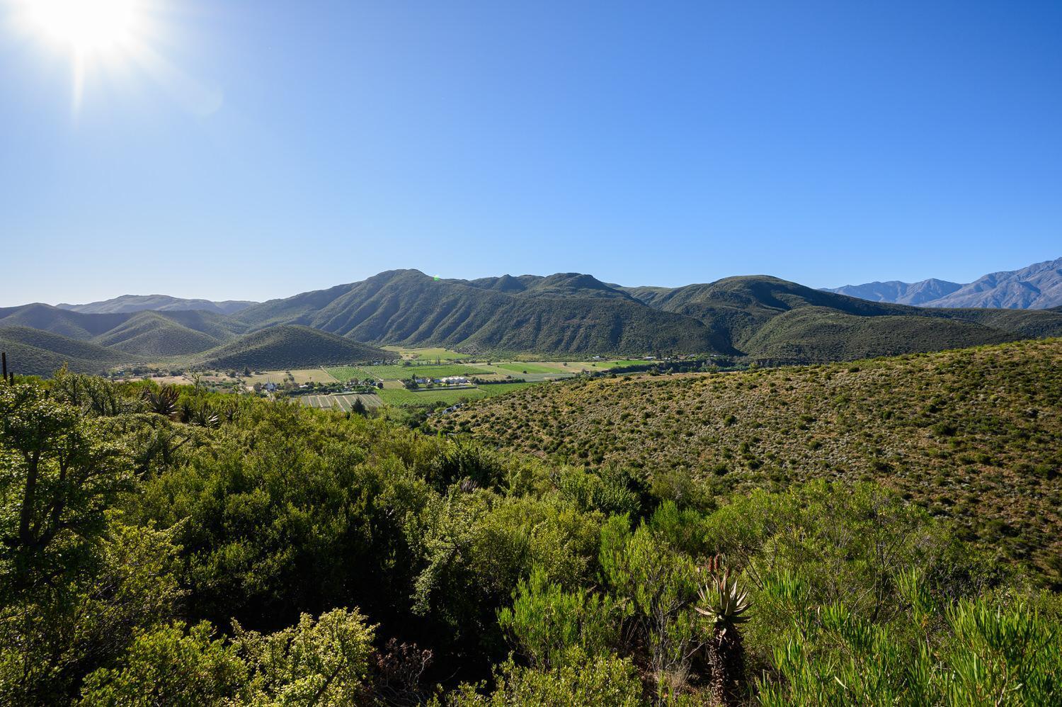 Le Petit Karoo Ranch Bed & Breakfast Oudtshoorn Ngoại thất bức ảnh